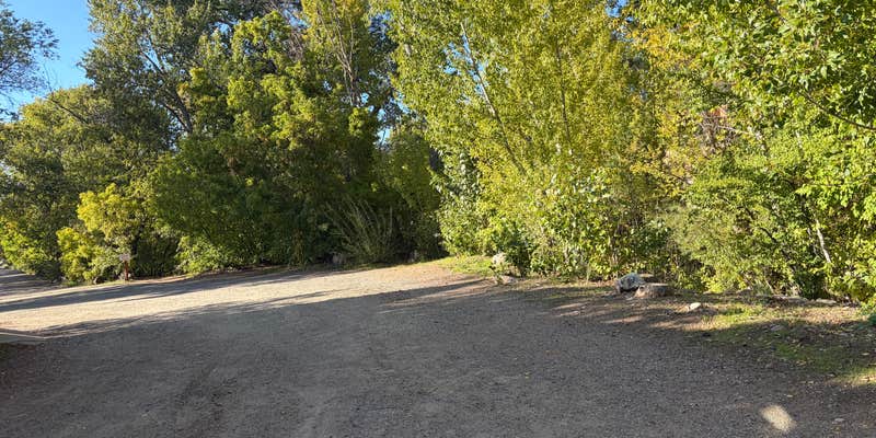 Camper submitted image from Santa fe river state park