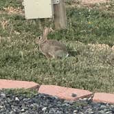 Review photo of Santa Fe Skies RV Park by Kate G., September 16, 2025