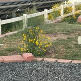 Review photo of Santa Fe Skies RV Park by Kate G., September 16, 2025
