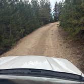 Review photo of Santa Fe Trail Dispersed Site by Morgan M., September 17, 2026