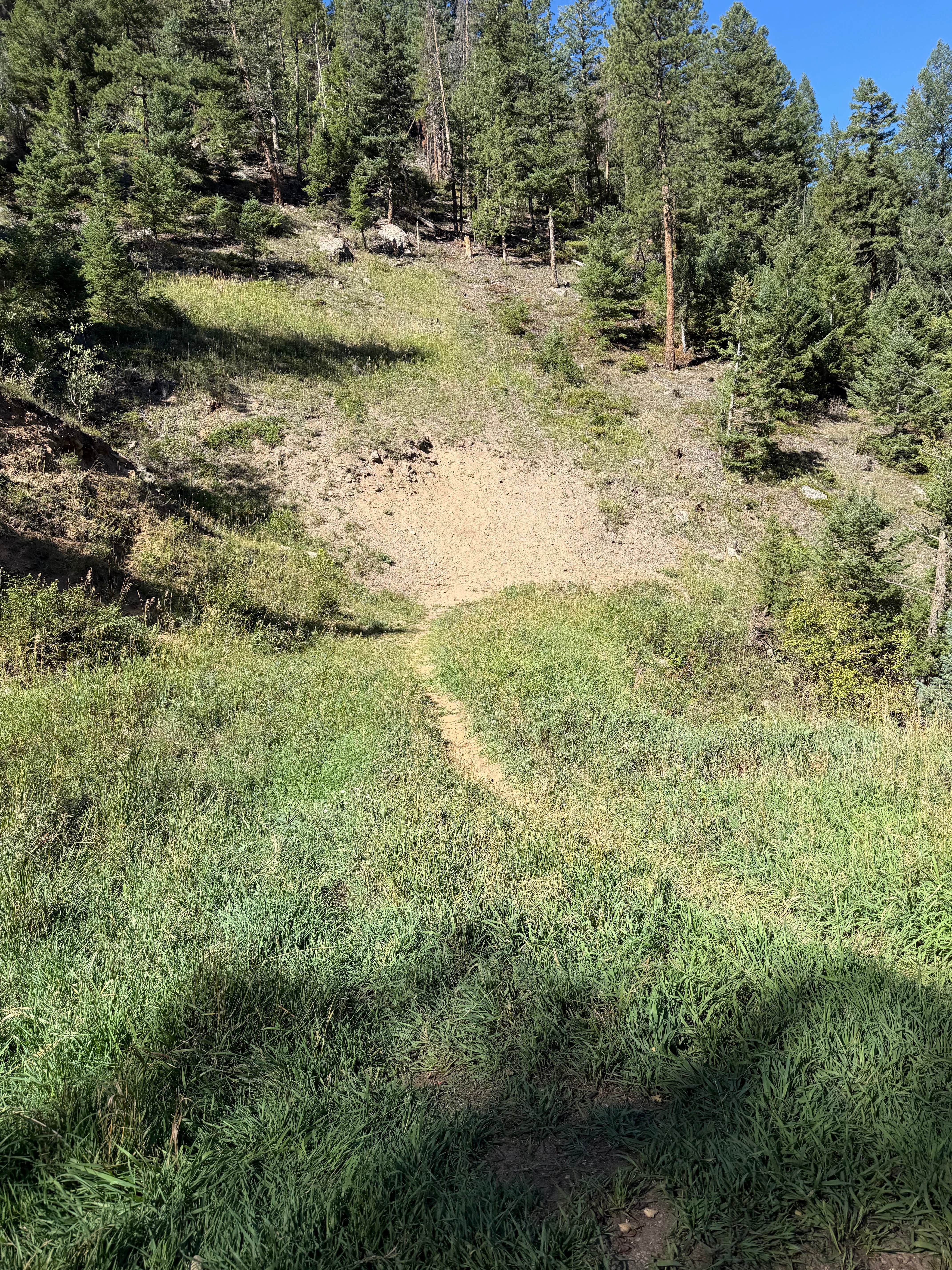 Camper-submitted photo at Santa Fe Trail Dispersed Site near Idaho Springs, CO