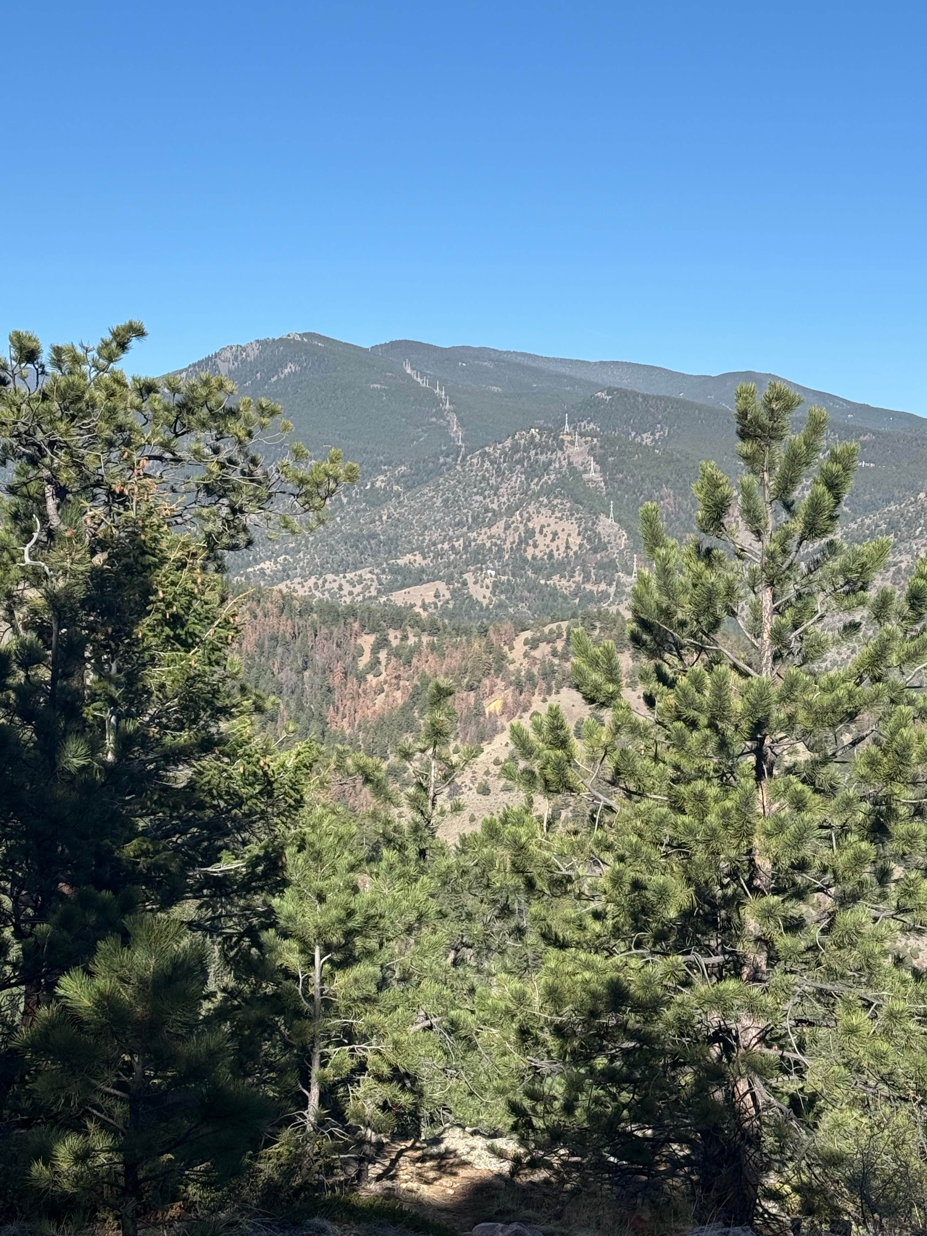 Camper-submitted photo at Santa Fe Trail Dispersed Site near Evergreen, CO