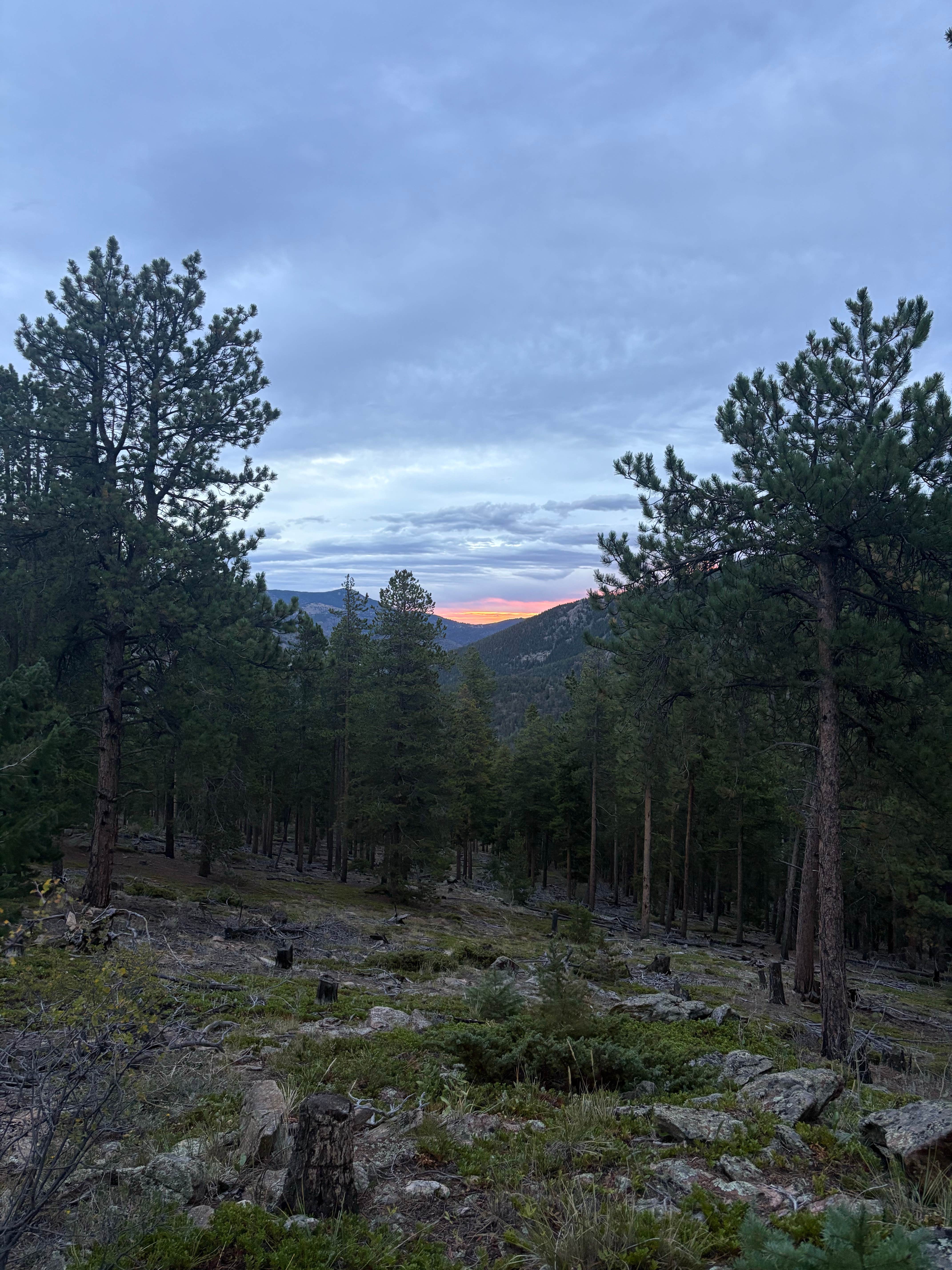 Camper-submitted photo at Santa Fe Trail Dispersed Site near Indian Hills, CO