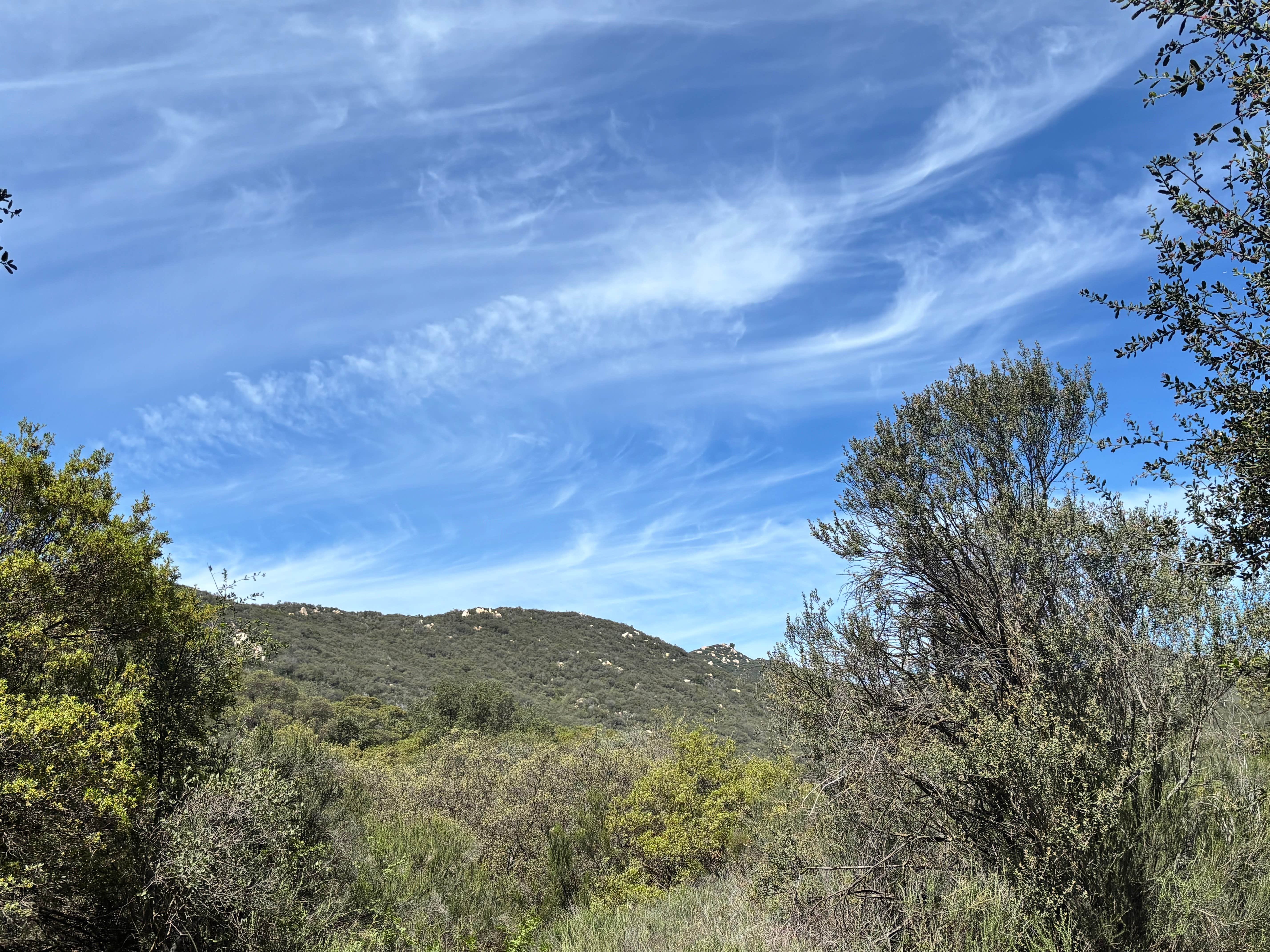 Camper-submitted photo at Santa Rosa Springs Campground near Thermal, CA