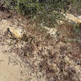 Review photo of Santa Rosa Springs Campground by Winter T., April 16, 2026