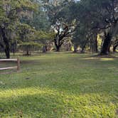 Review photo of Santee Coastal Reserve by David B., October 19, 2025