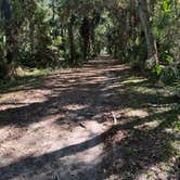 Review photo of Santee Coastal Reserve by David B., October 19, 2025