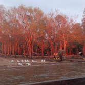 Review photo of Santee Lakes KOA by Rhiannon G., March 20, 2026