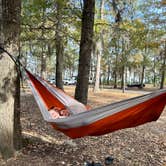 Review photo of Santee State Park--Lakeshore Campground by Kristen S., December 7, 2023