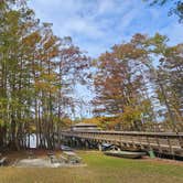 Review photo of Cypress View Campground — Santee State Park by Katrin M., November 3, 2024