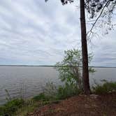 Review photo of Cypress View Campground — Santee State Park by Aly V., March 28, 2026