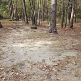 Review photo of Cypress View Campground — Santee State Park by Katrin M., November 3, 2024