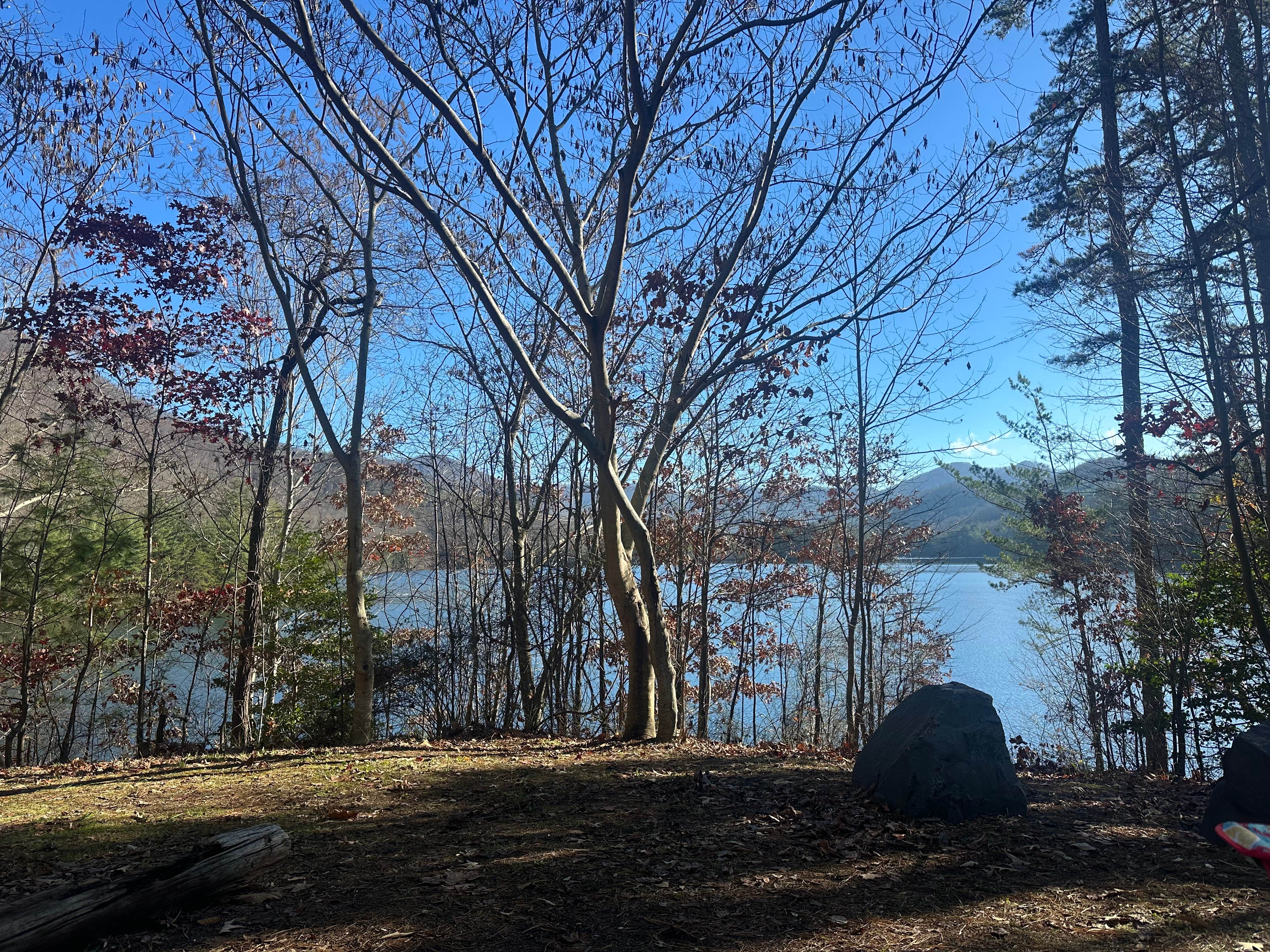 Camper-submitted photo at Santeetlah Lake Primitive near Tallassee, TN