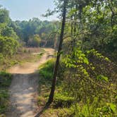 Review photo of Santos Trailhead & Campground by Eric R., March 19, 2024