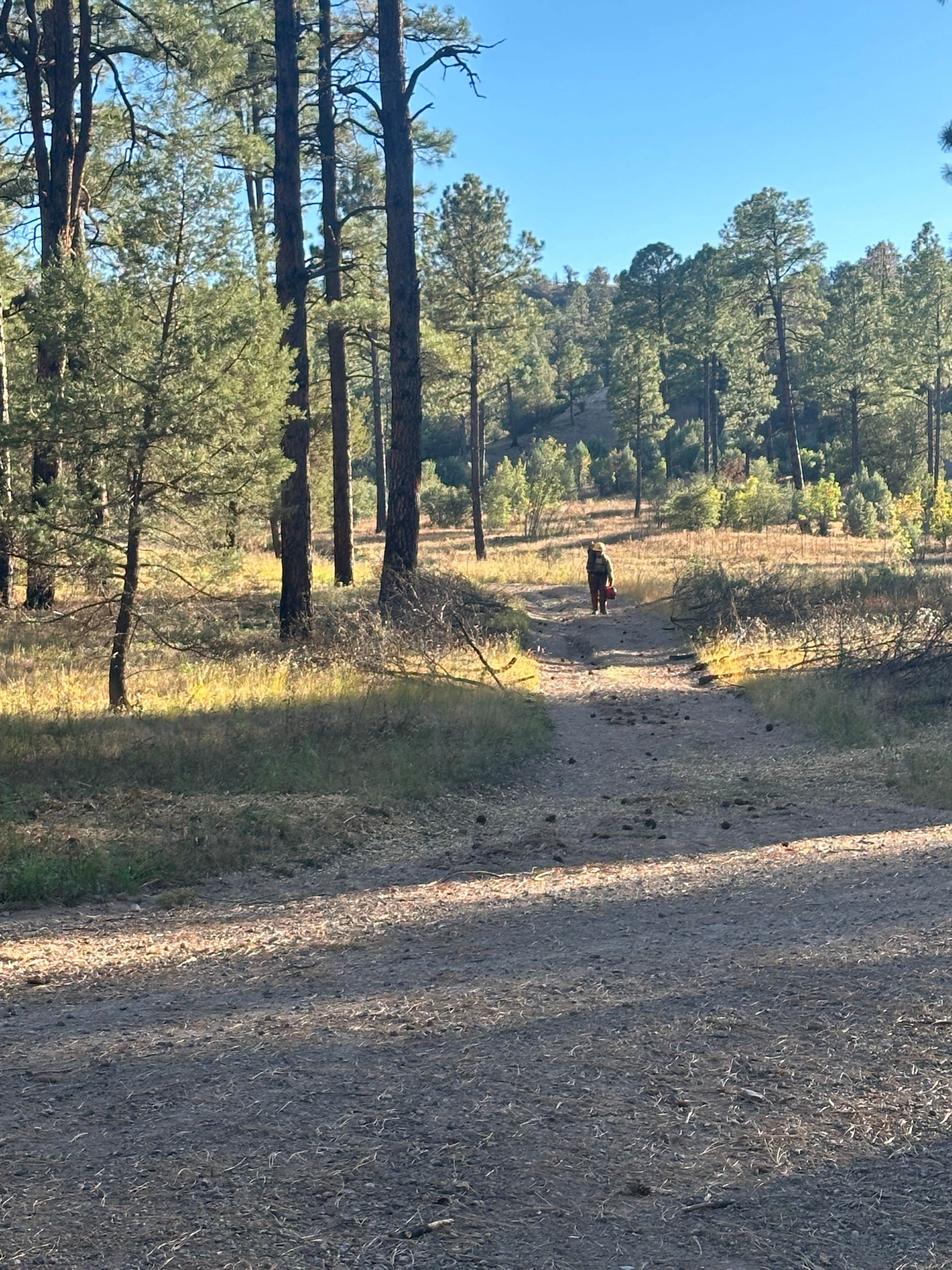 Camper submitted image from Sapillo Campground - 5