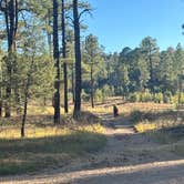 Review photo of Sapillo Campground by Alisa P., October 28, 2025