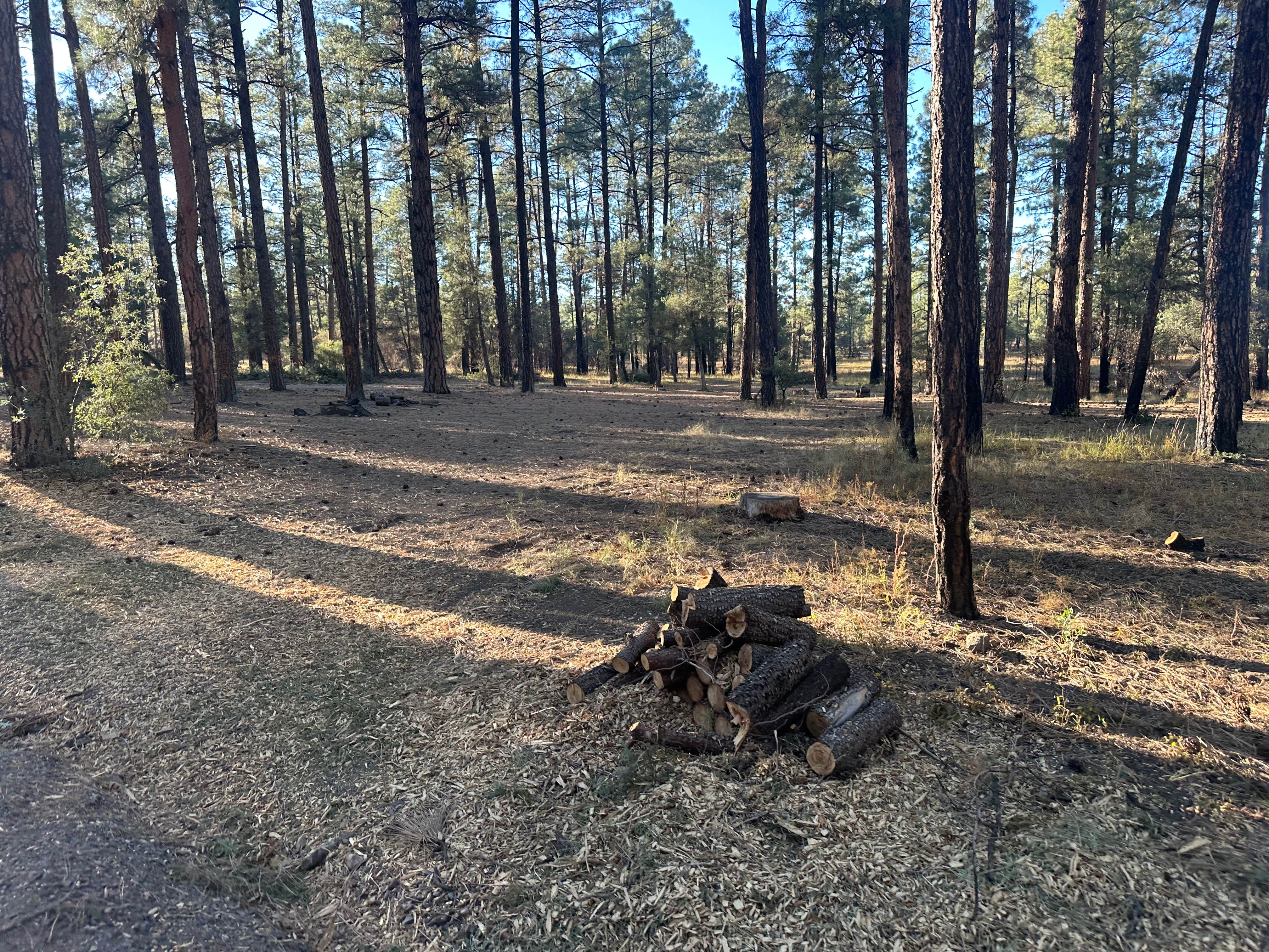Camper-submitted photo at Sapillo Campground near Hanover, NM