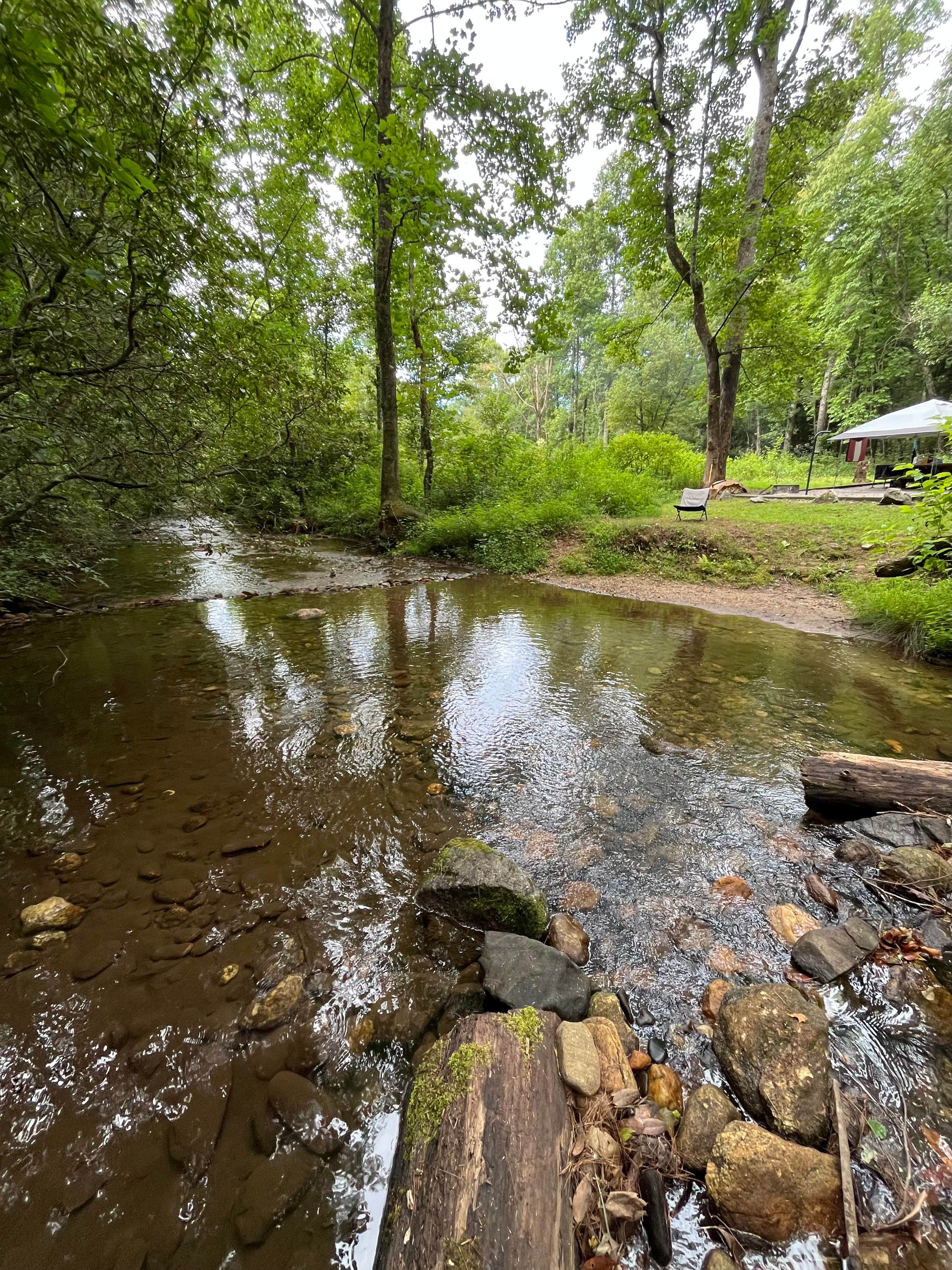Twan M.'s photo of camping with pets at Sarah's Creek Campground (Clayton, Ga) — Chattahoochee Oconee National Forest near Cashiers, NC