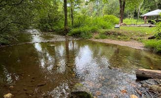 Twan M.'s photo of camping with pets at Sarah's Creek Campground (Clayton, Ga) — Chattahoochee Oconee National Forest near Cashiers, NC