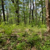 Review photo of Sarah's Creek Campground (Clayton, Ga) — Chattahoochee Oconee National Forest by rhett T., August 17, 2024