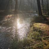 Review photo of Sarah's Creek Campground (Clayton, Ga) — Chattahoochee Oconee National Forest by Mac W., March 25, 2026