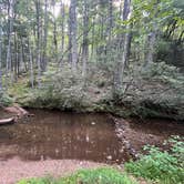 Review photo of Sarah's Creek Campground (Clayton, Ga) — Chattahoochee Oconee National Forest by Twan M., August 10, 2024