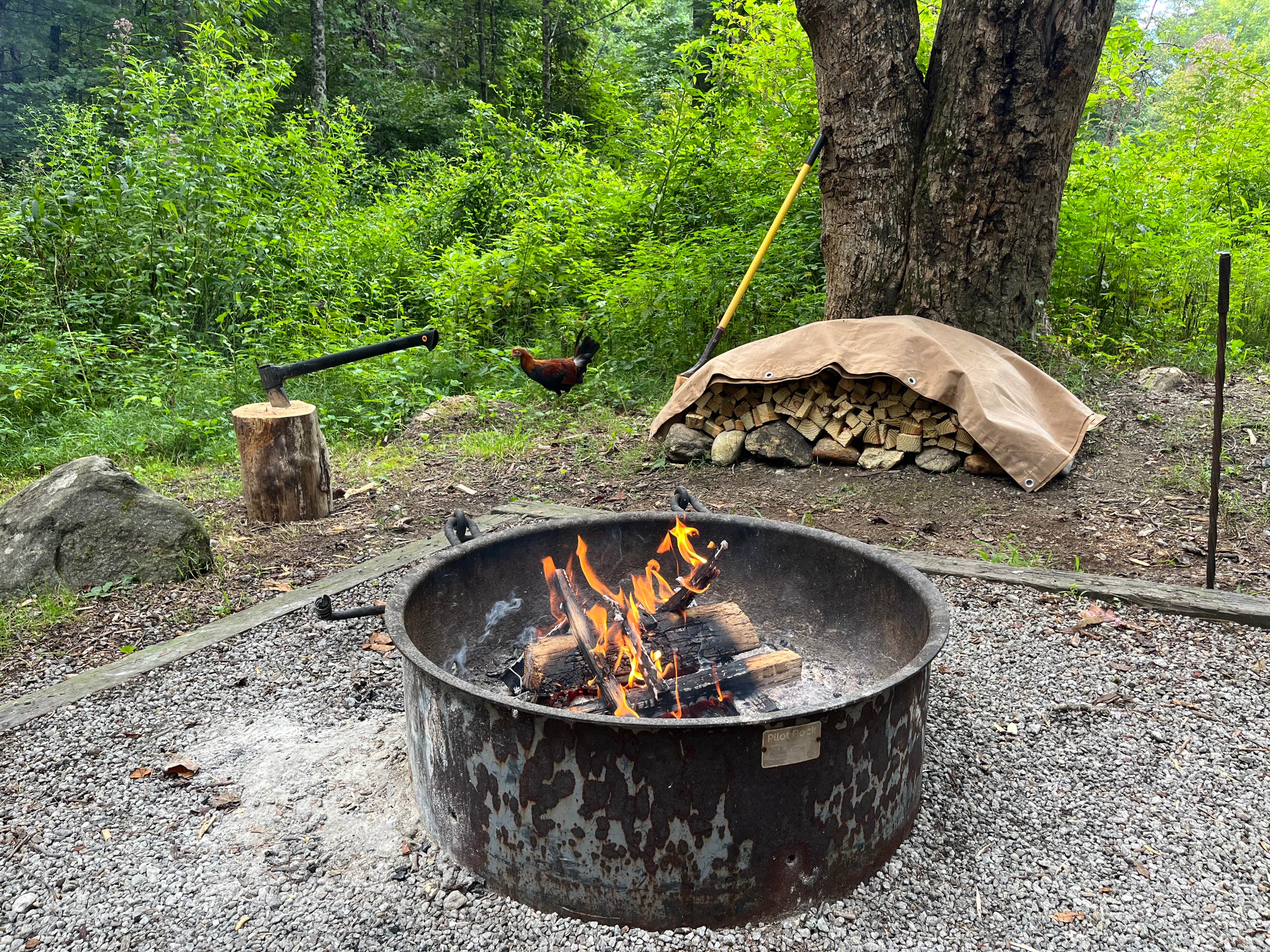 Camper-submitted photo at Sarah's Creek Campground (Clayton, Ga) — Chattahoochee Oconee National Forest near Mountain City, GA