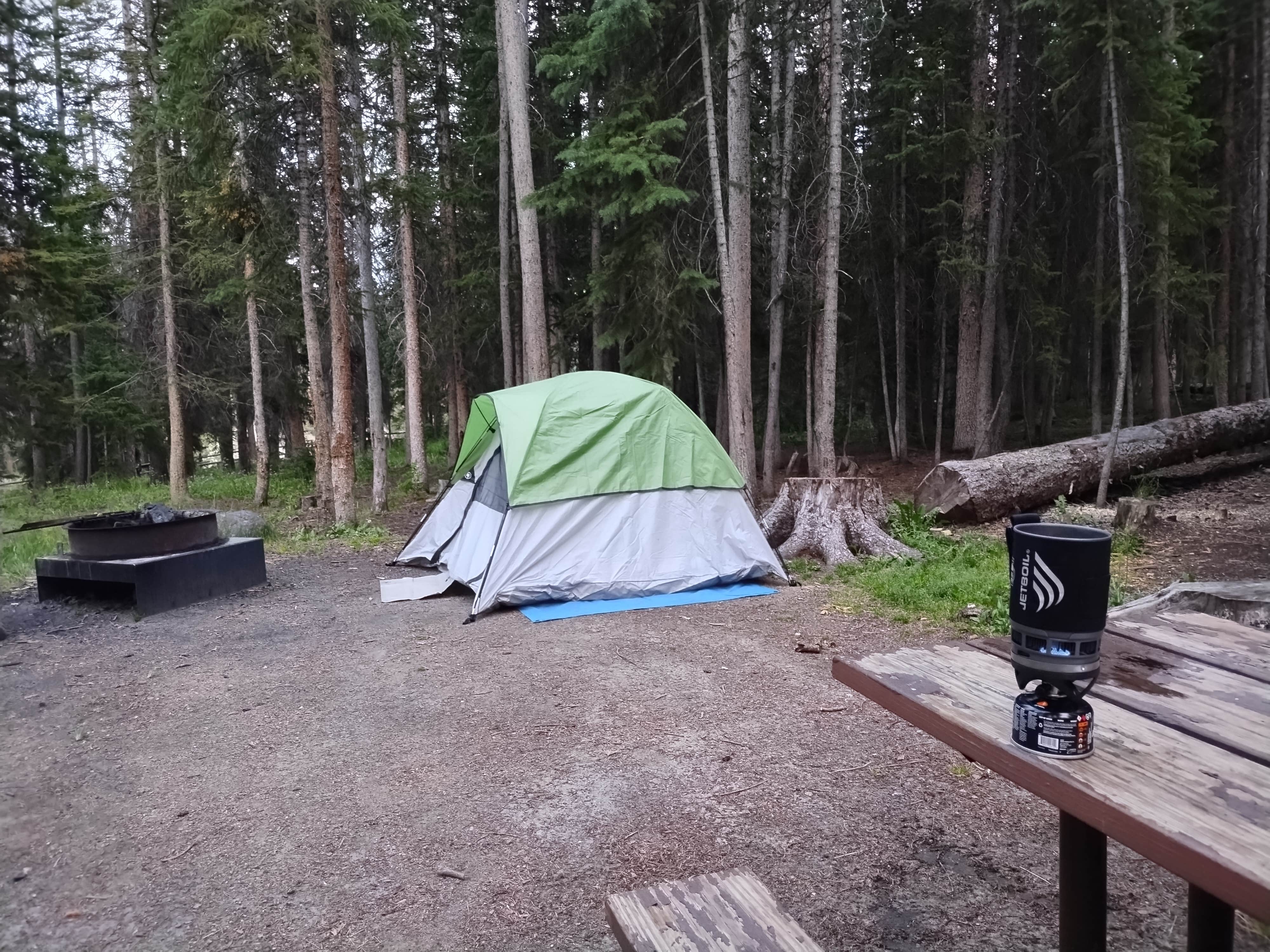 Mary S.'s photo at Sasquatch Farm near McKenna, WA
