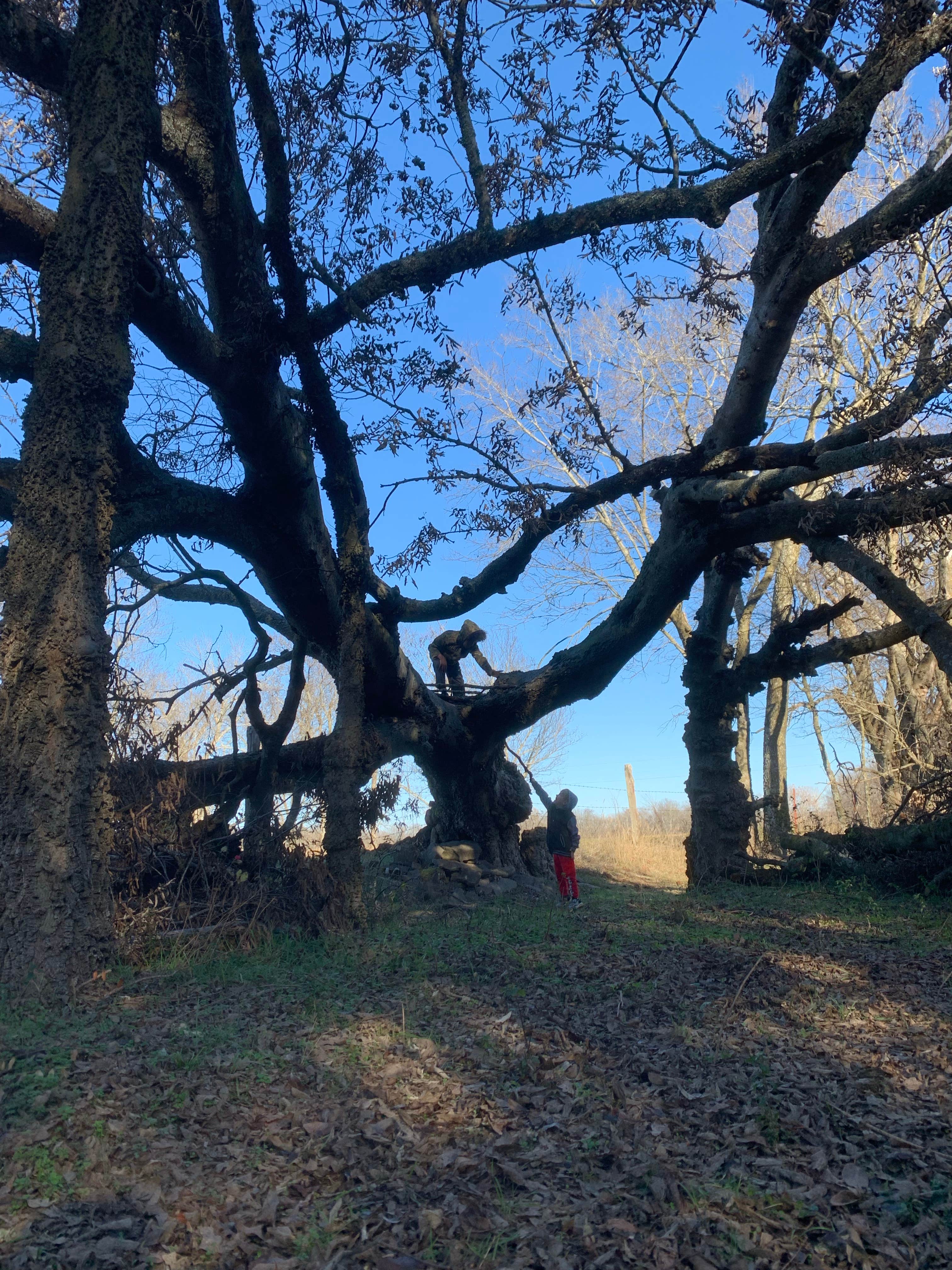 Sasquatch RV Park Tahlequah, OK