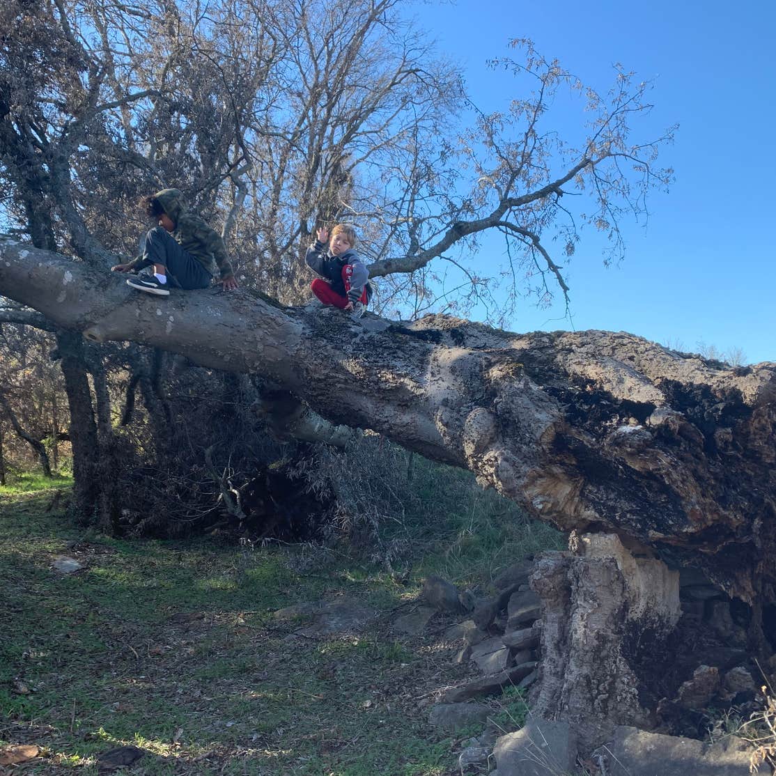 Sasquatch RV Park Tahlequah, OK