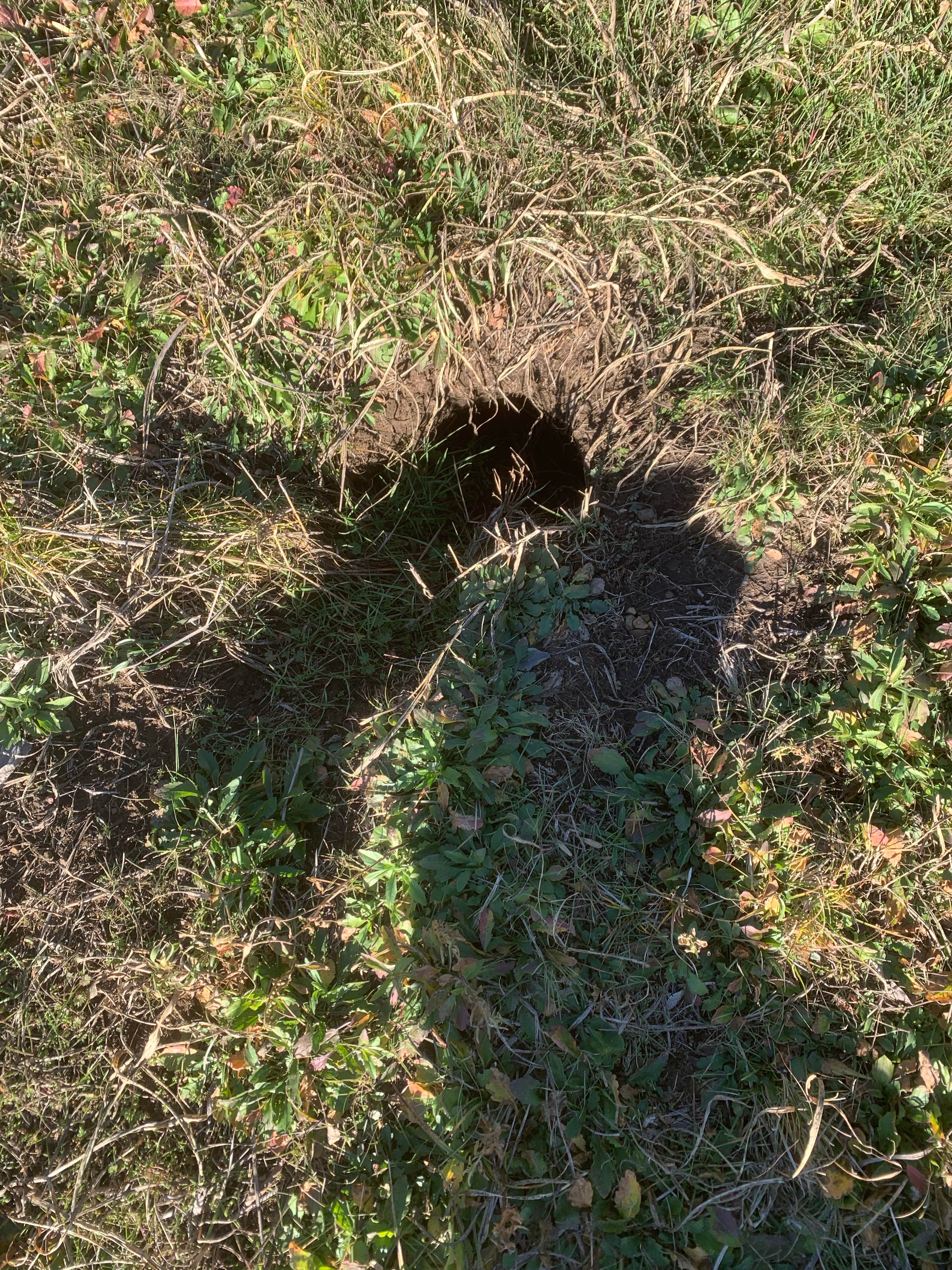 Camper-submitted photo at Sasquatch RV Park near Fort Gibson Lake