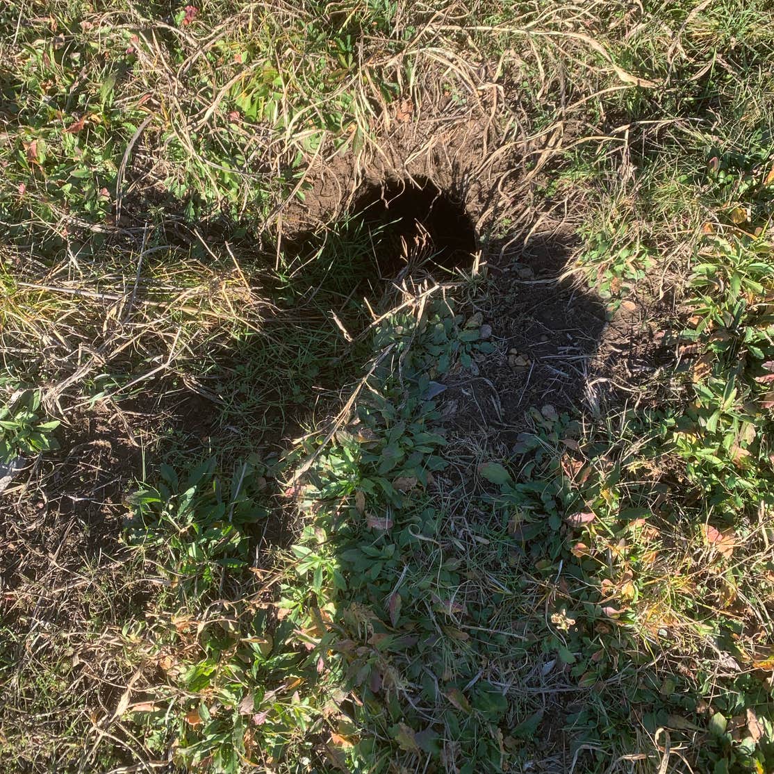 Sasquatch RV Park Tahlequah, OK