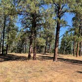 Review photo of Saul’s Creek Campground by Merrily J., August 2, 2026