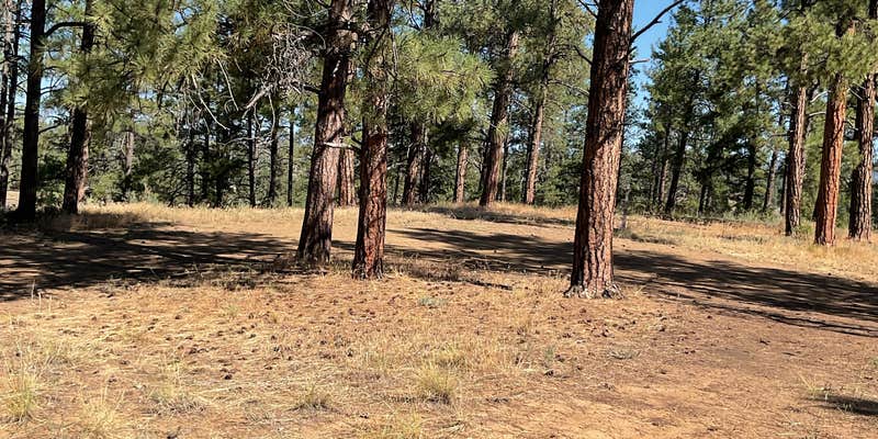 Camper submitted image from Saul’s Creek Campground
