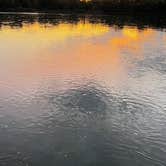 Review photo of Saulsbury Bridge Rec Area - Cedar River Campground by Steve T., September 7, 2025
