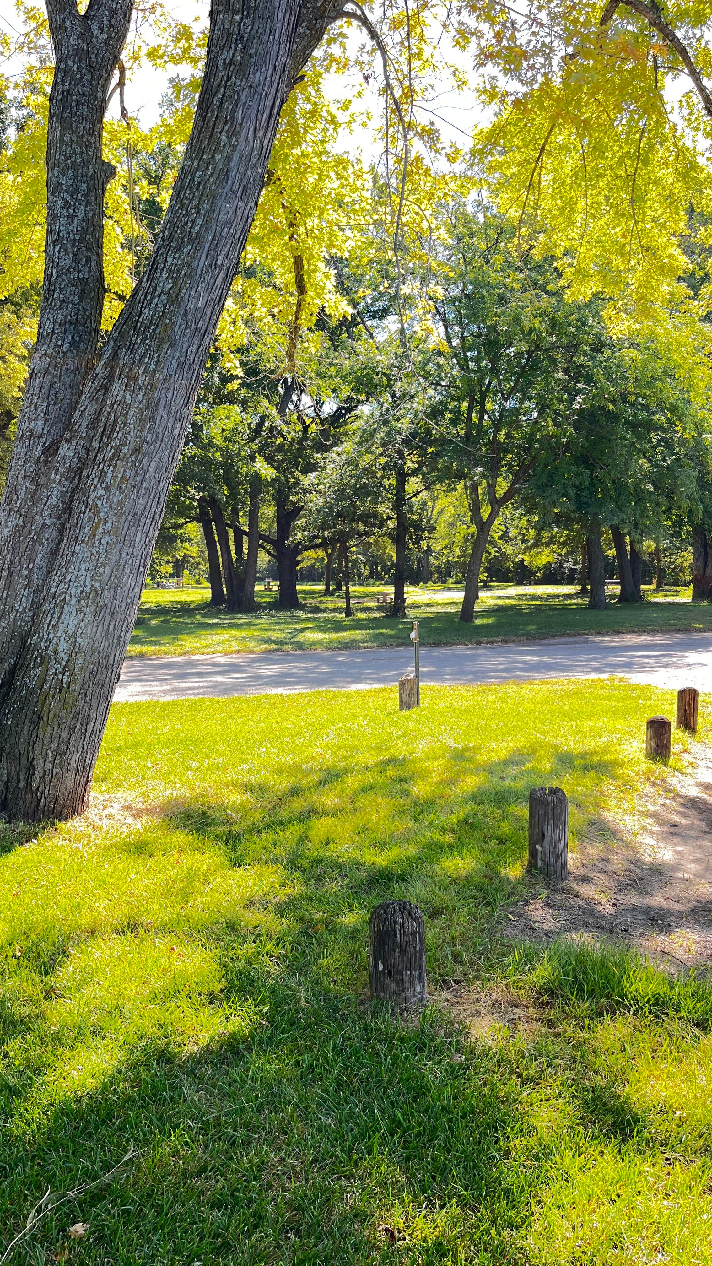 Camper-submitted photo at Saulsbury Bridge Rec Area - Cedar River Campground near West Liberty, IA
