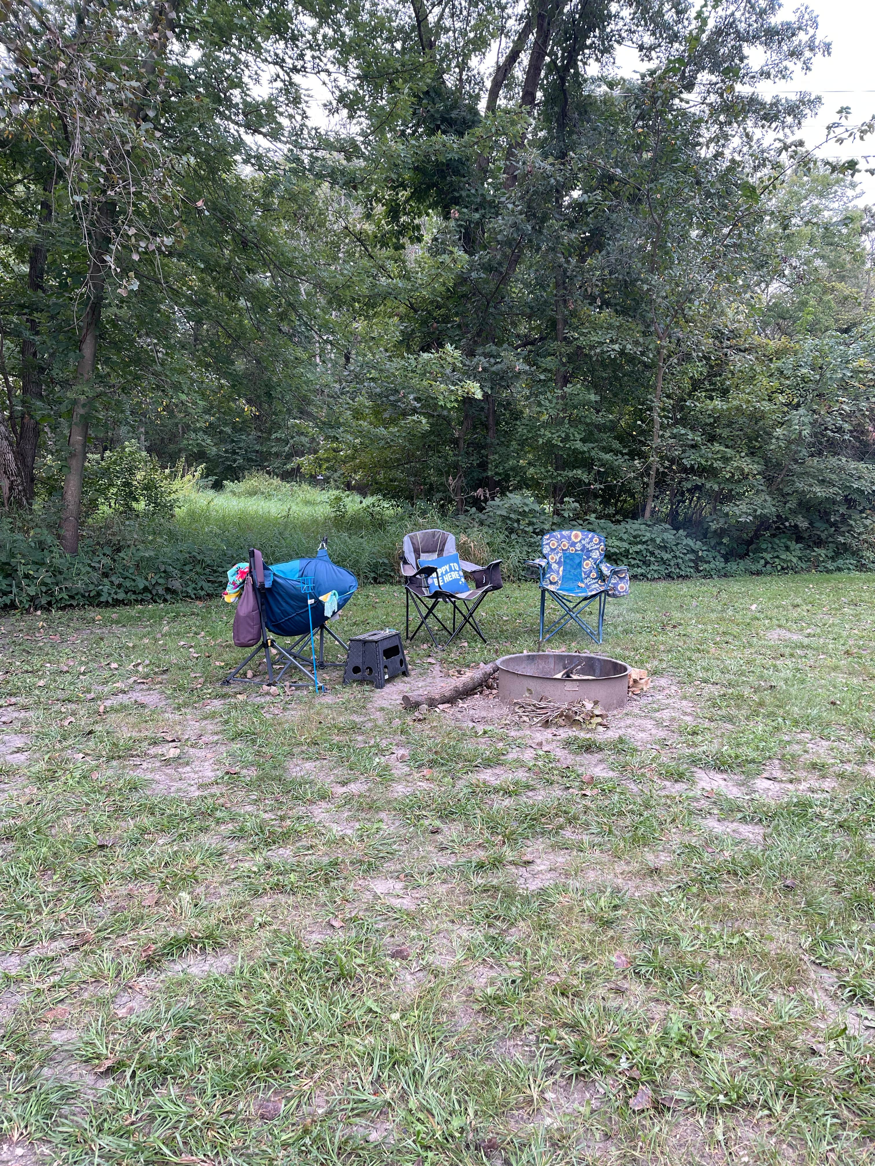 Camper submitted image from Saulsbury Bridge Rec Area - Cedar River Campground - 4