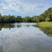 Review photo of Saulsbury Bridge Rec Area - Cedar River Campground by Wendy R., September 26, 2024