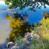 Review photo of Saulsbury Bridge Rec Area - Cedar River Campground by Steve T., September 7, 2025
