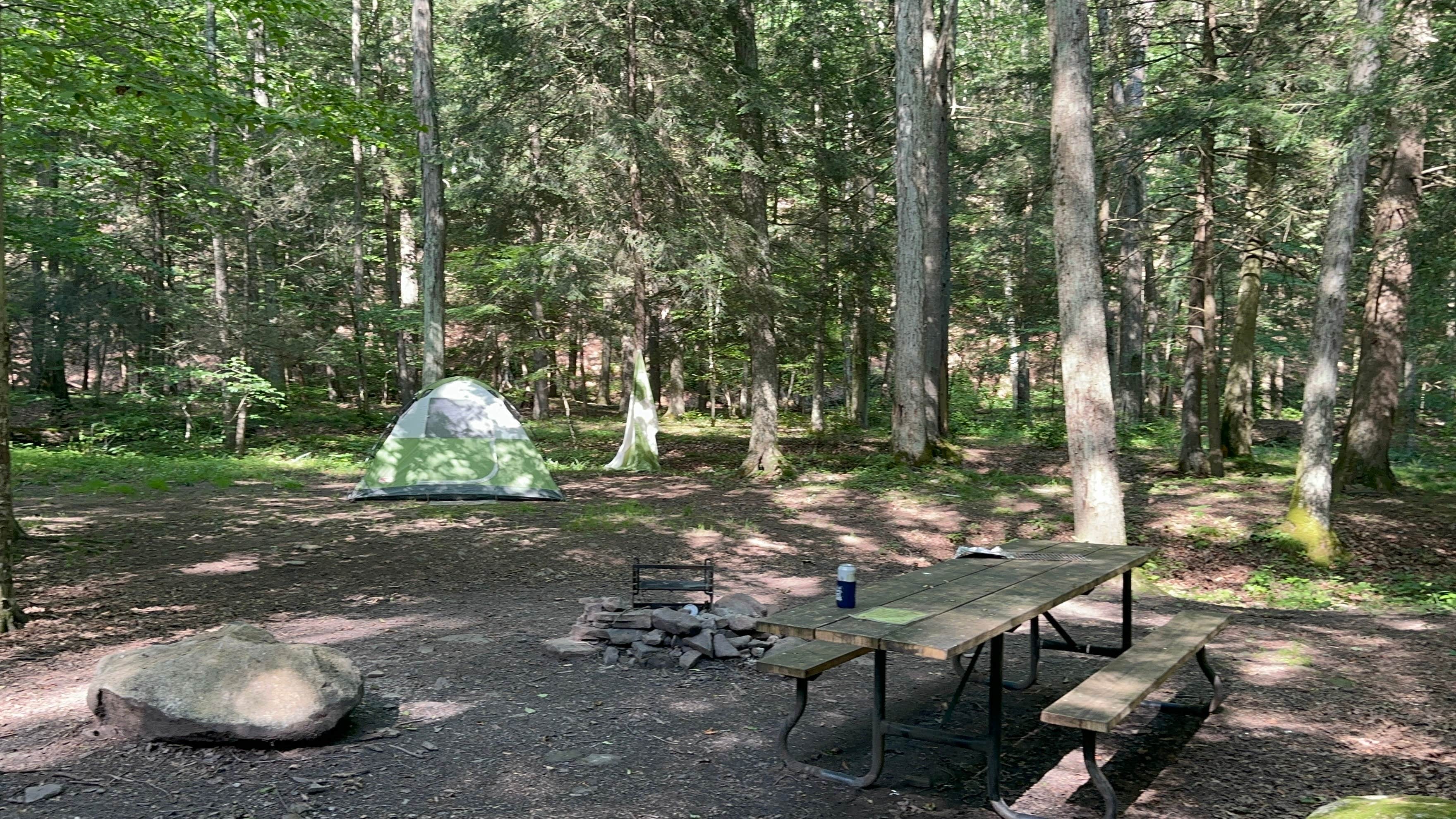 Veronica S.'s photo at Savage River State Forest near Keyser, WV