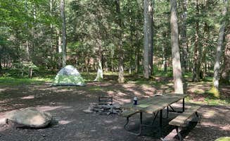 Veronica S.'s photo at Savage River State Forest near Lonaconing, MD