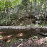 Review photo of Savage River State Forest by Veronica S., June 28, 2025