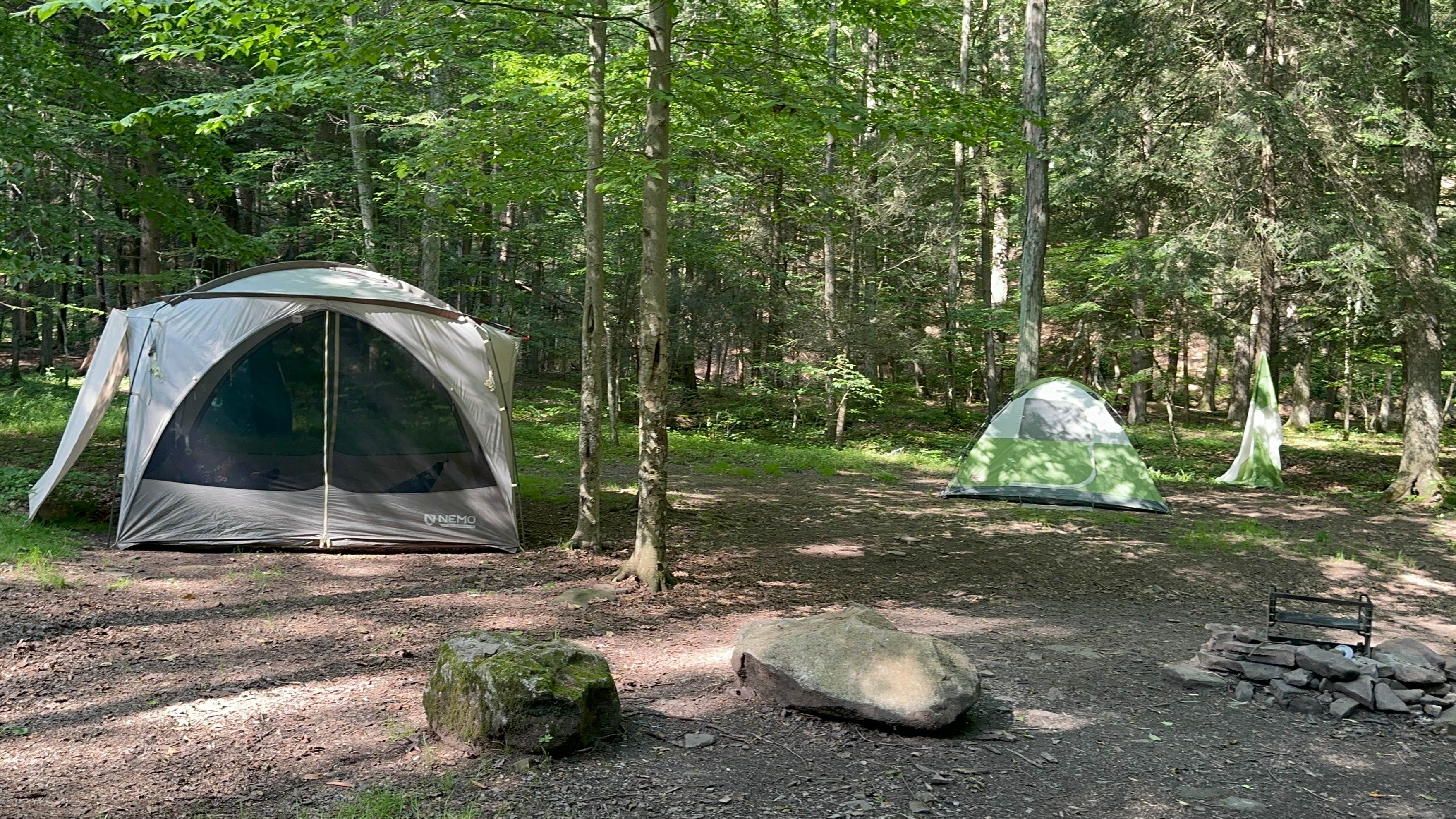 Veronica S.'s photo at Savage River State Forest near Accident, MD