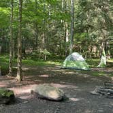 Review photo of Savage River State Forest by Veronica S., June 28, 2025