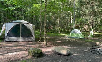 Veronica S.'s photo at Savage River State Forest near Accident, MD
