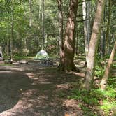 Review photo of Savage River State Forest by Veronica S., June 28, 2025