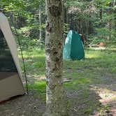 Review photo of Savage River State Forest by Veronica S., June 28, 2025