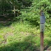 Review photo of Savage River State Forest by Veronica S., June 28, 2025
