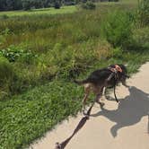 Review photo of Savannas Recreational Park by Thomas B., August 13, 2026