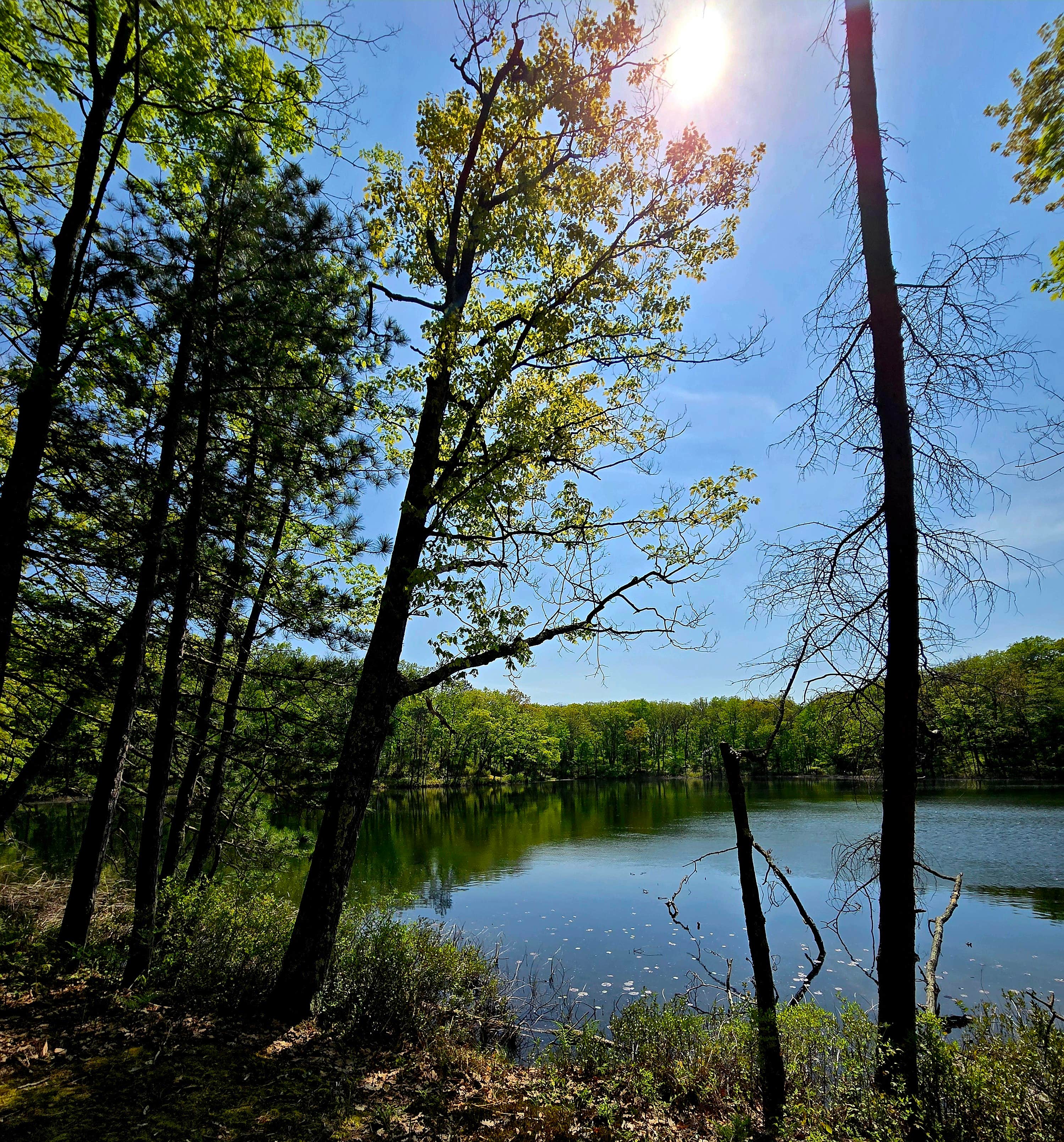 Camper submitted image from Sawkaw Lake - 2